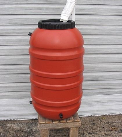 Rain Barrel