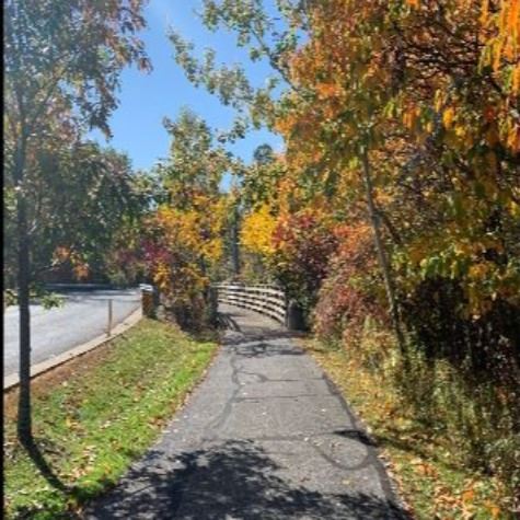 10-2020 Vale Park Pathway (2)
